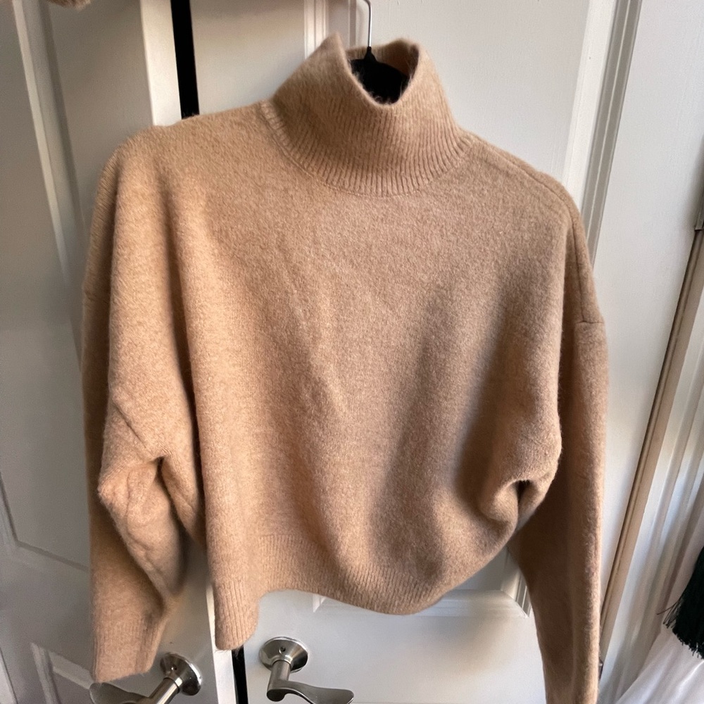 Tan Zara Turtleneck